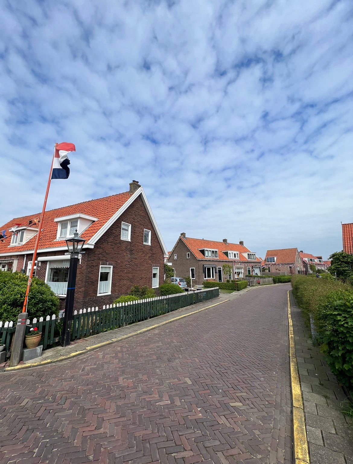 A Founder Reflection & Invitation to Join Us Saturday - Oshki